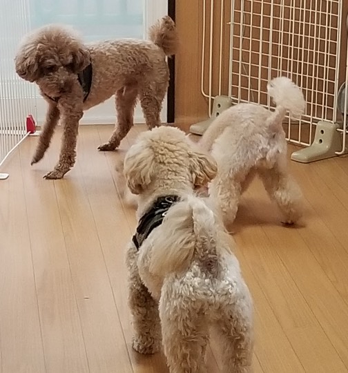 生き物ルーム第37