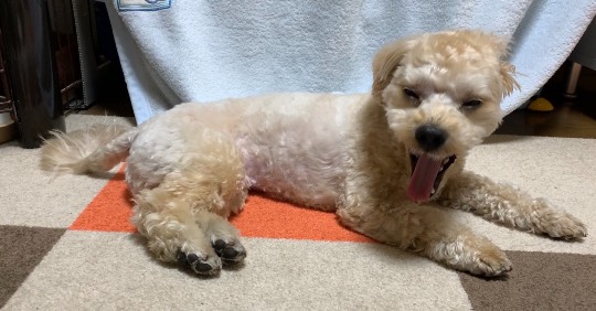 生き物ルーム第38