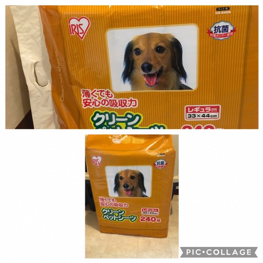 生き物ルーム第36