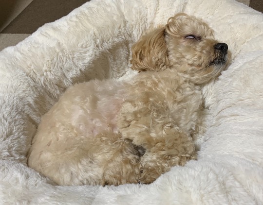 生き物ルーム第37