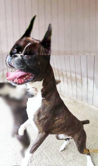 生き物ルーム第39