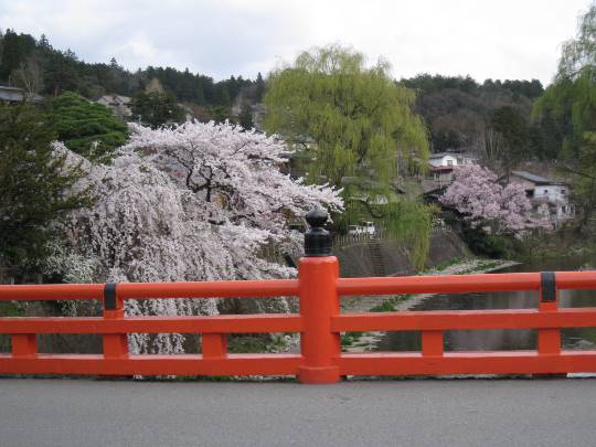 マスク同窓会詰所兼ニューフェイス歓迎所17