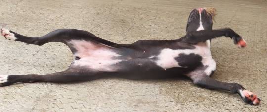 生き物ルーム第38