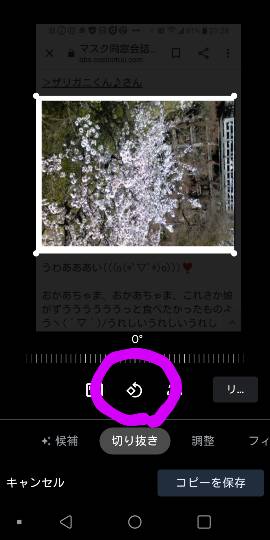 マスク同窓会詰所兼ニューフェイス歓迎所17