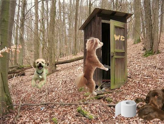 生き物ルーム第38