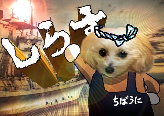 生き物ルーム第37