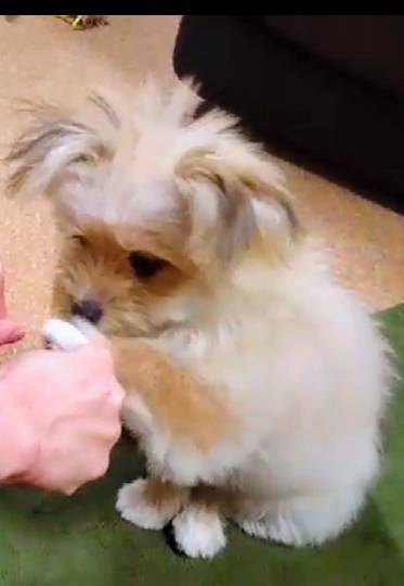 生き物ルーム第37