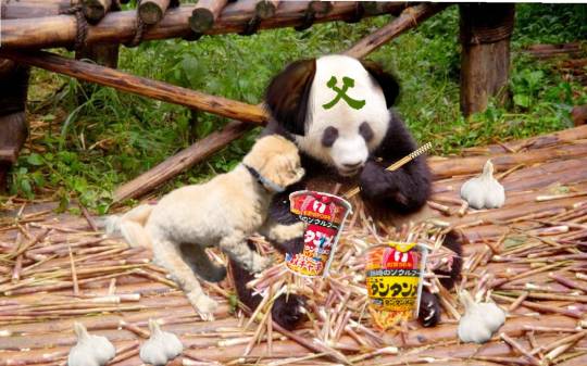 生き物ルーム第37