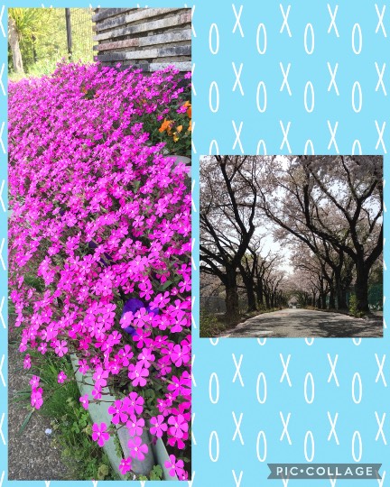 ★ドンキ♡♡ロピア 雑談23★