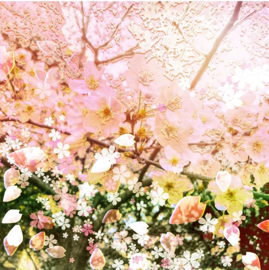 花鳥風月に心を込めて...　(エアー花トピ2)