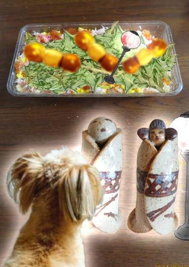 生き物ルーム第36