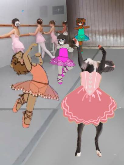 生き物ルーム第38