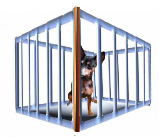 生き物ルーム第38