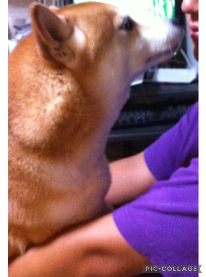 生き物ルーム第37