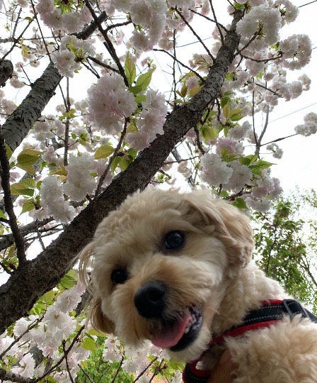 生き物ルーム第40