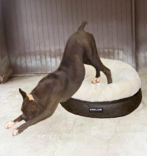 生き物ルーム第40