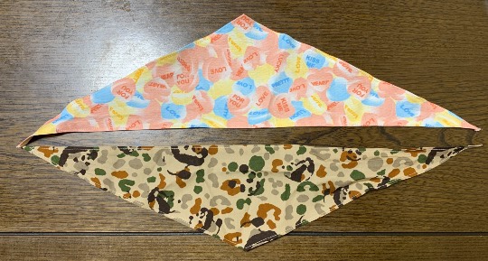 生き物ルーム第40