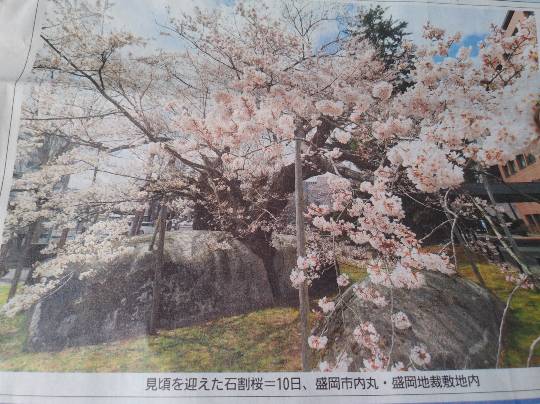 ★ドンキ♡♡ロピア 雑談24★