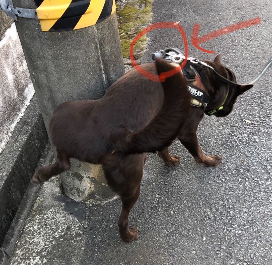 生き物ルーム第41