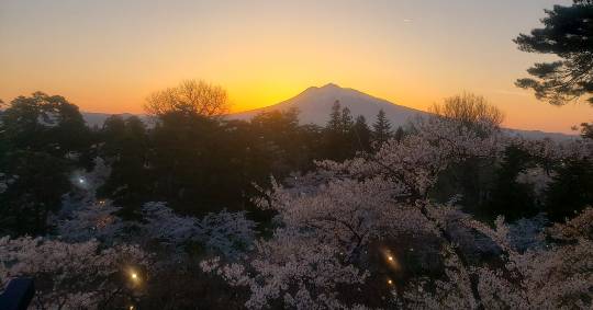 マスク同窓会詰所兼ニューフェイス歓迎所21