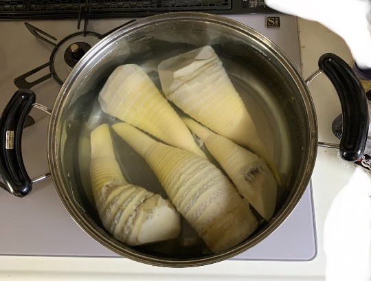 生き物ルーム第41