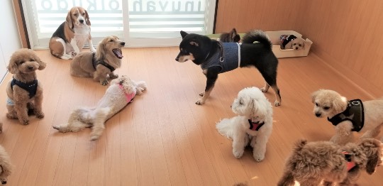 生き物ルーム第41