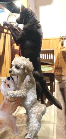 生き物ルーム第41