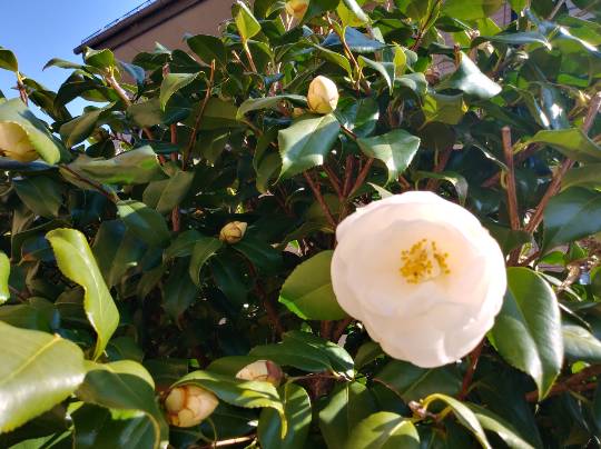 ★ドンキ♡♡ロピア 雑談25★