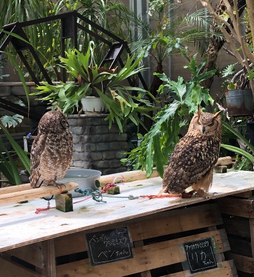 ★ドンキ♡♡ロピア 雑談27★