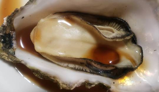 【スナックJINJIN】ここまできたよ！12号店!!　ちょいとよっていかないかい～(^^)