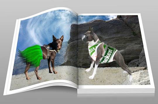 生き物ルーム第40