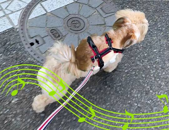 生き物ルーム第41