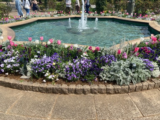 マスク同窓会詰所兼ニューフェイス歓迎所21