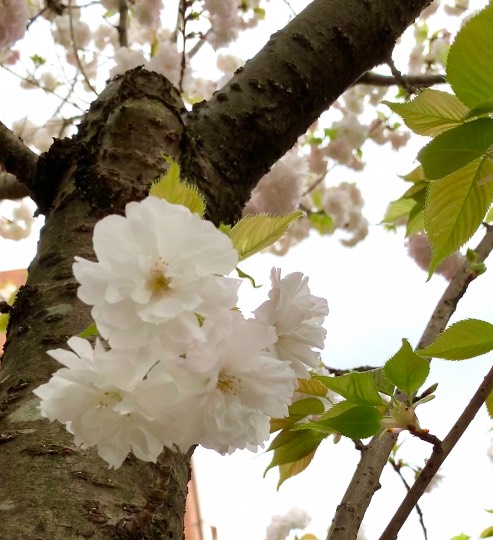 生き物ルーム第40