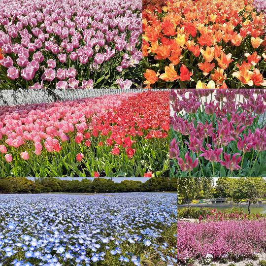 ★ドンキ♡♡ロピア 雑談25★