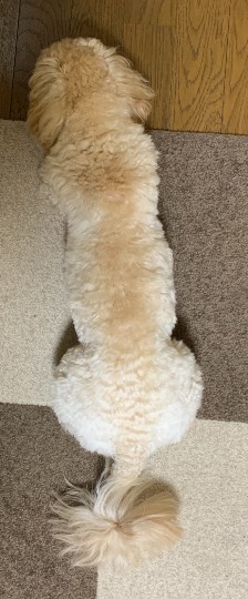 生き物ルーム第41