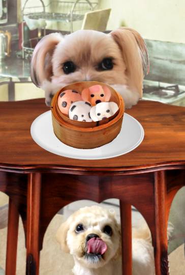 生き物ルーム第41