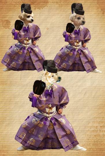 生き物ルーム第41