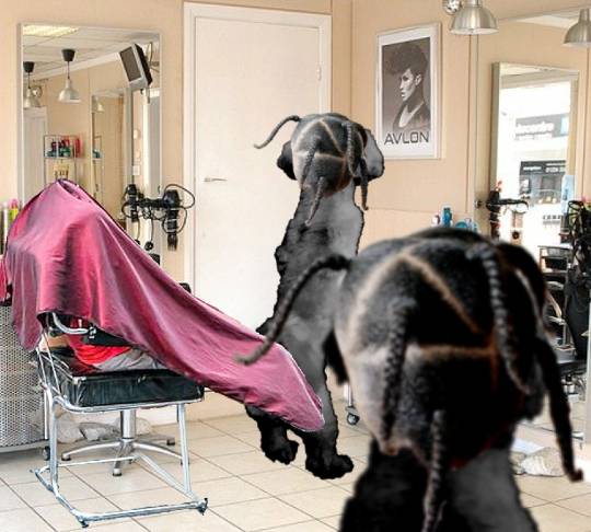 生き物ルーム第41