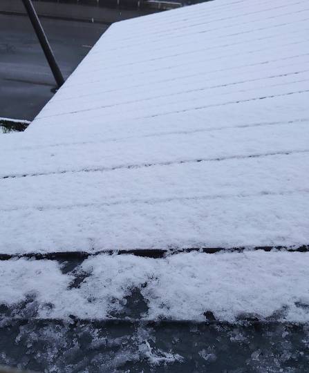 マスク同窓会詰所兼ニューフェイス歓迎所21