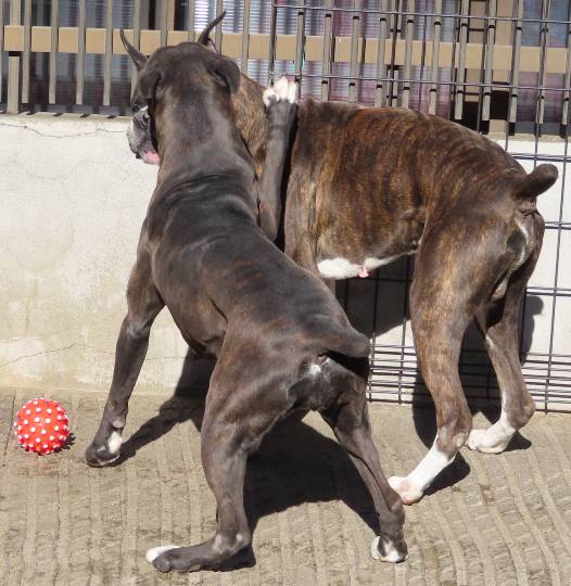 生き物ルーム第40