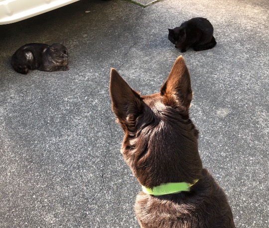 生き物ルーム第41