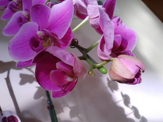 ★ドンキ♡♡ロピア 雑談23★