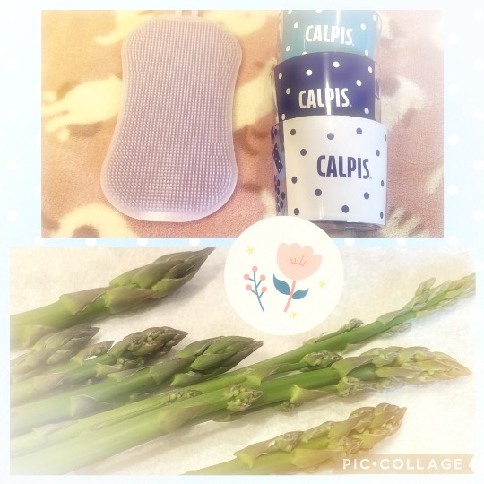 あつまれ雑談&amp;ゲーム好きの森XIII 櫻の抄〜卒業できない恋もある〜