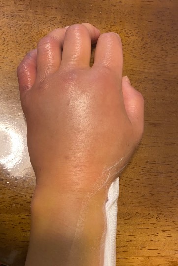 EGG'S CAFE支店『Wellness』6号店 健康・体調・ダイエット・更年・介護...