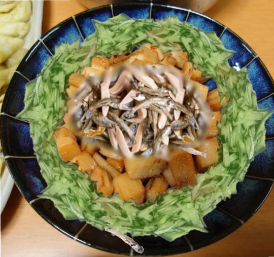 生き物ルーム第41