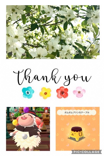 あつまれ雑談&amp;ゲーム好きの森XIII 櫻の抄〜卒業できない恋もある〜