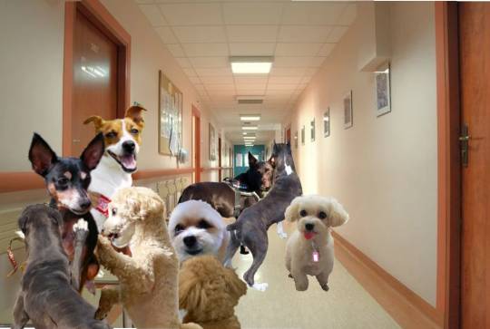 生き物ルーム第41