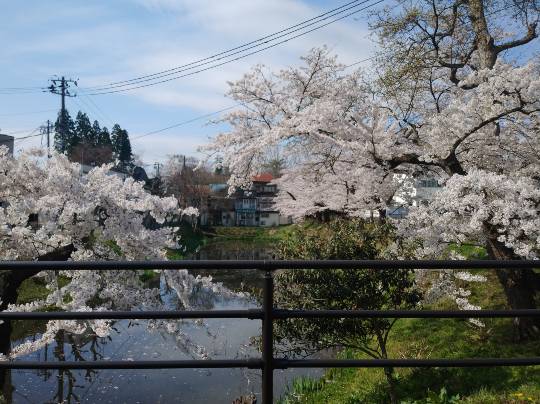 ★ドンキ♡♡ロピア 雑談24★