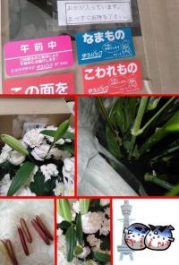 アレンジメント お供え・お悔み - ホワイト  